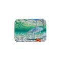 "Bonefish Reticulated Starfish" - 2.5" X 3.5" Rectangle Fridge Magnets
