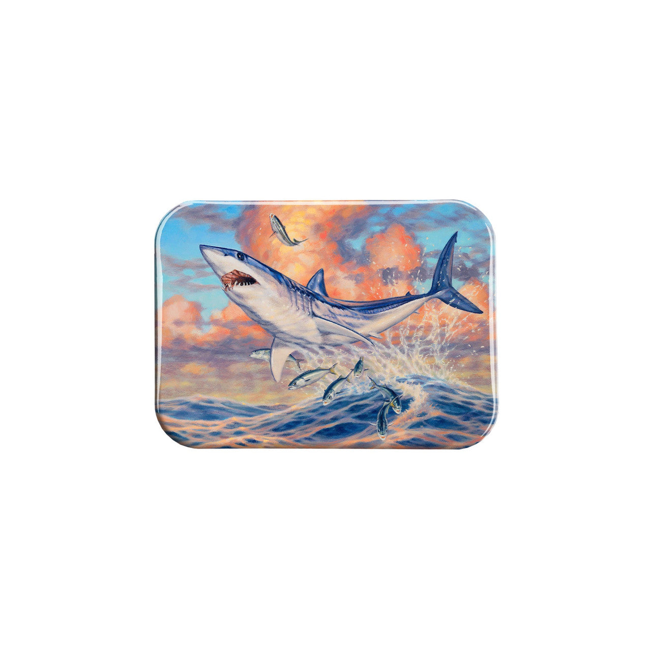 "Leap Of Faith" - 2.5" X 3.5" Rectangle Fridge Magnets