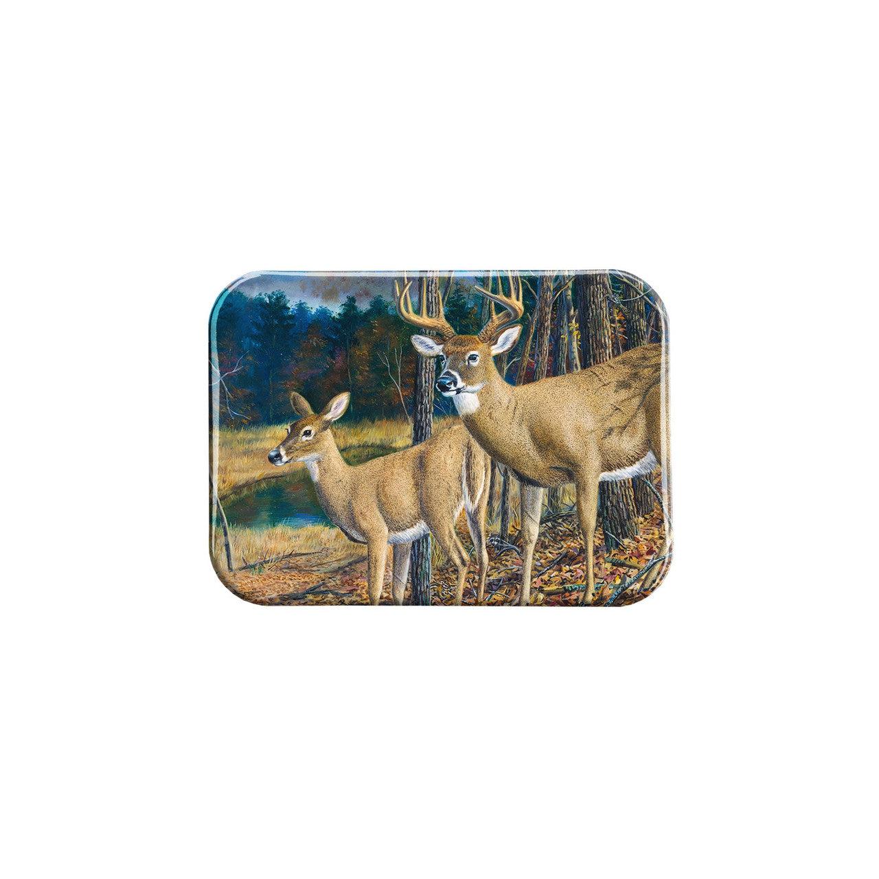 "Secret Pond" - 2.5" X 3.5" Rectangle Fridge Magnets
