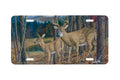 "Secret Pond" - Decorative License Plate