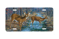 "Caution In The Wind" - Decorative License Plate