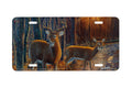 "On The Road Again" - Decorative License Plate