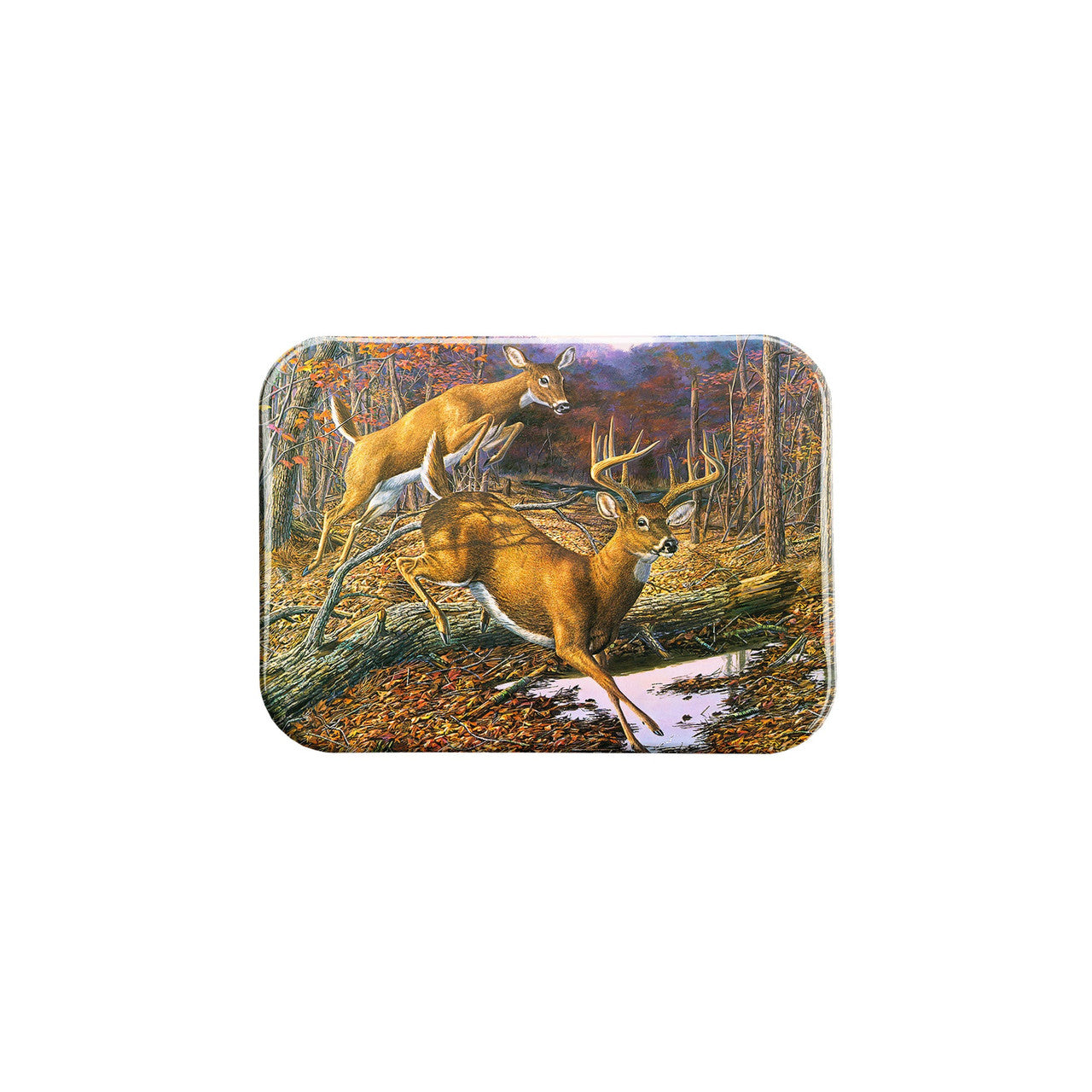 "Speed Bump" - 2.5" X 3.5" Rectangle Fridge Magnets