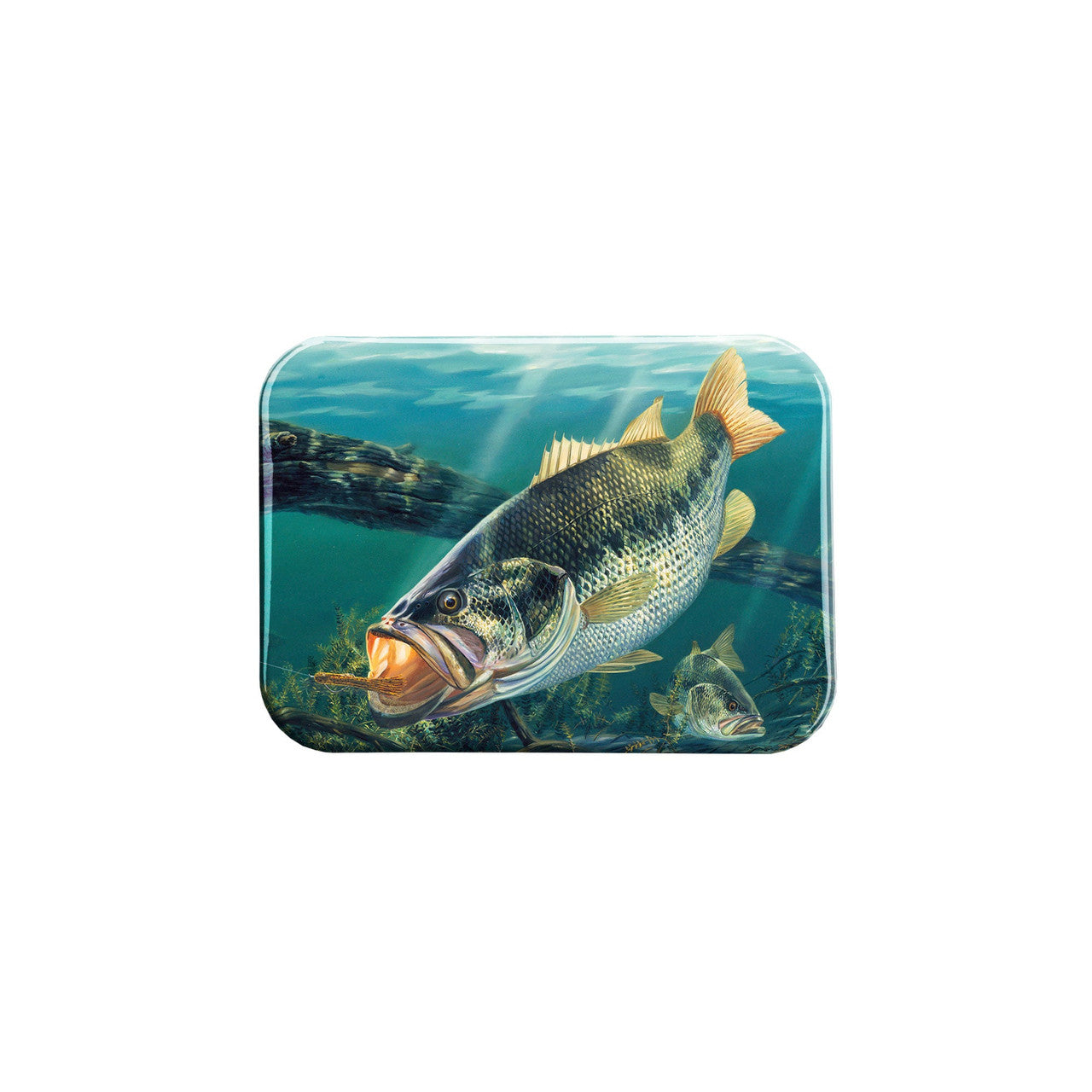 "Cleaning House" - 2.5" X 3.5" Rectangle Fridge Magnets