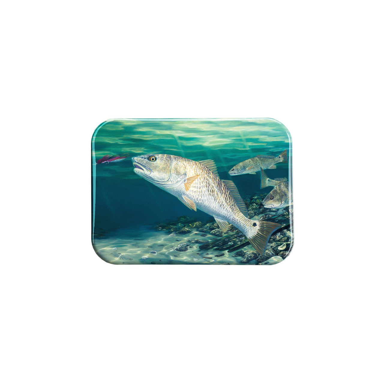 "Seeing Red" - 2.5" X 3.5" Rectangle Fridge Magnets