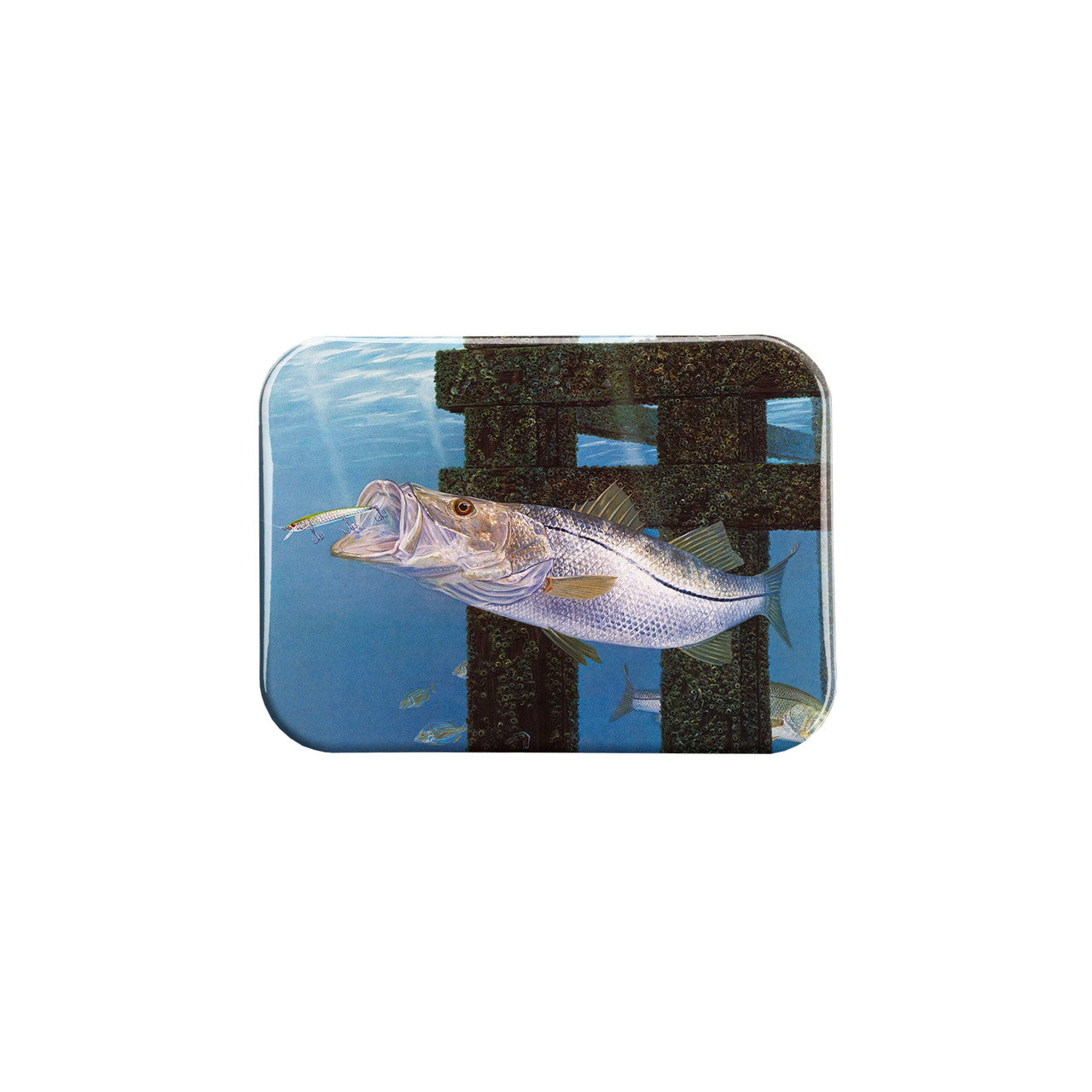 "Snookered" - 2.5" X 3.5" Rectangle Fridge Magnets