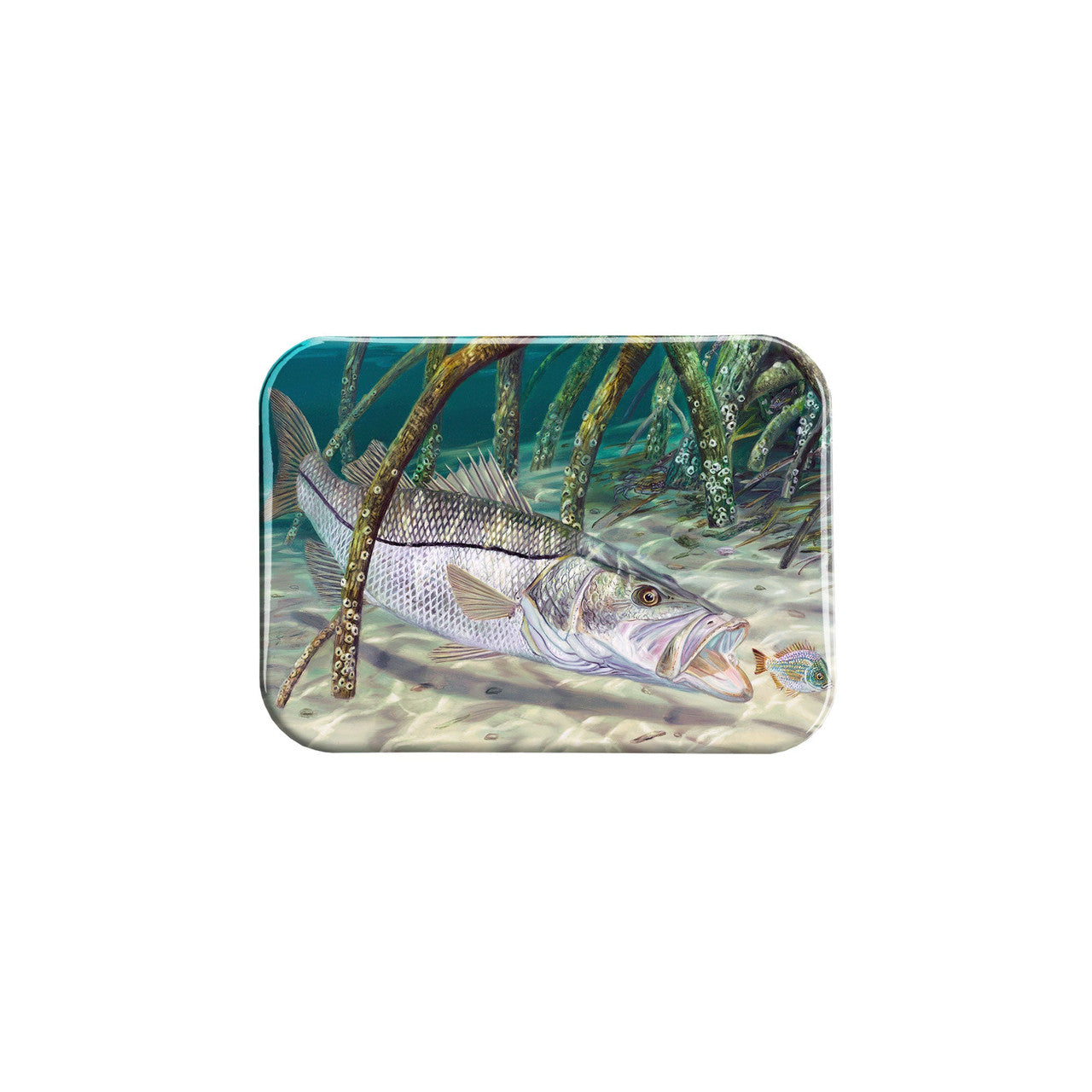 "Mangrove Monster" - 2.5" X 3.5" Rectangle Fridge Magnets