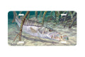 "Mangrove Monster" - Decorative License Plate