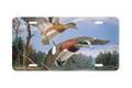 "Wind N Widgeons" - Decorative License Plate