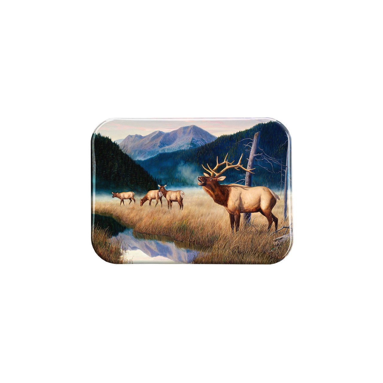 "King Of The Valley" - 2.5" X 3.5" Rectangle Fridge Magnets
