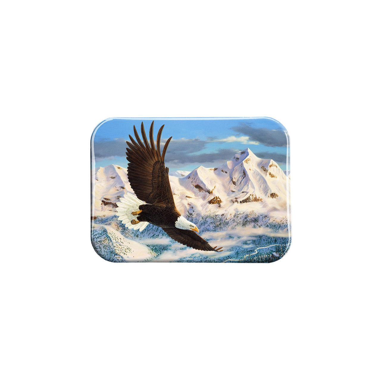 "The Height Of Freedom" - 2.5" X 3.5" Rectangle Fridge Magnets