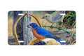 "Blue Bandits" - Decorative License Plate