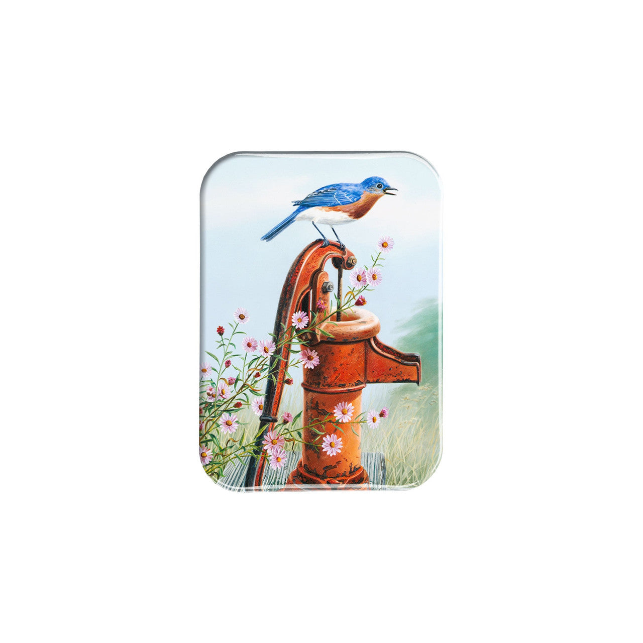 "Eastern Bluebird And Asters" - 2.5" X 3.5" Rectangle Fridge Magnets