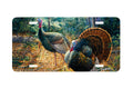 "Hitting The Trail" - Decorative License Plate