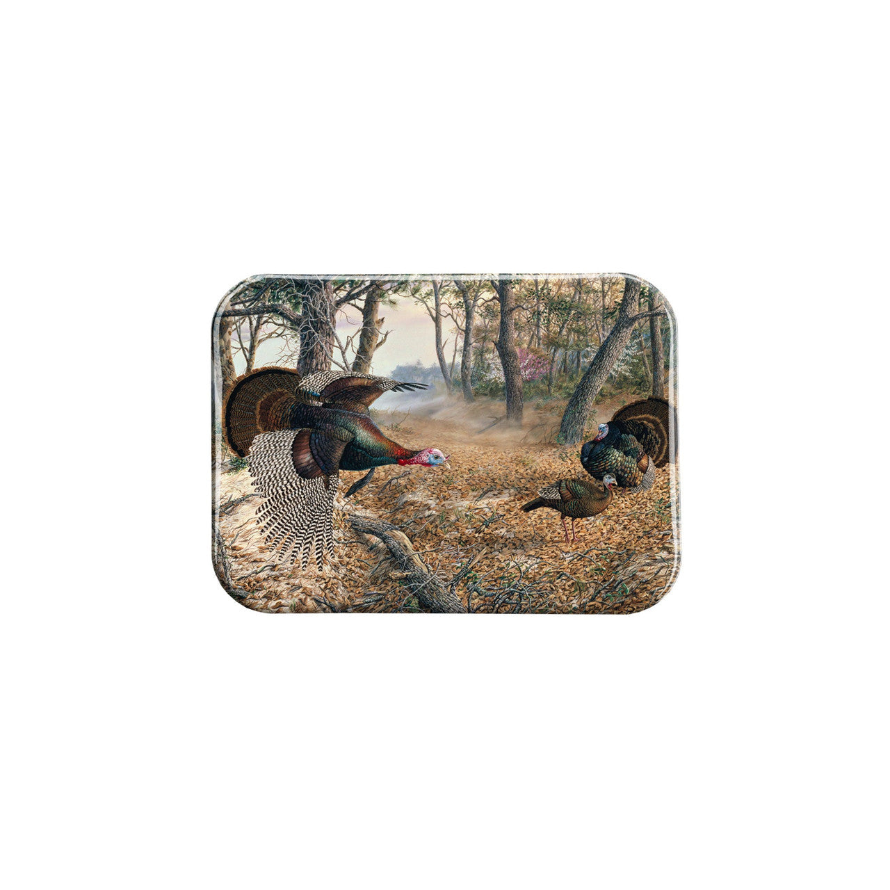 "Shows Over" - 2.5" X 3.5" Rectangle Fridge Magnets