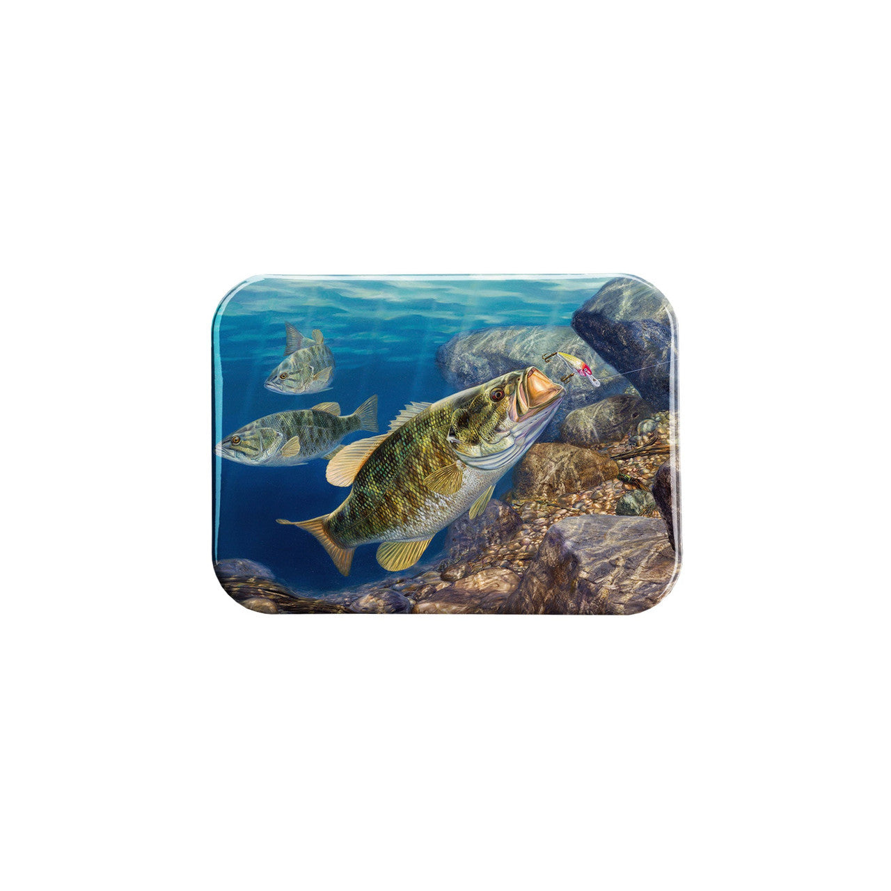 "Taking The Rap" - 2.5" X 3.5" Rectangle Fridge Magnets