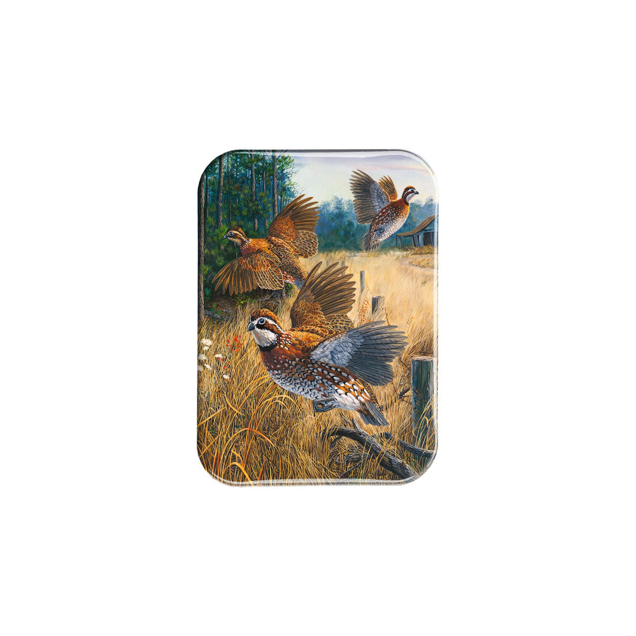 "Covey Rise" - 2.5" X 3.5" Rectangle Fridge Magnets