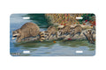 "Loose Caboose" - Decorative License Plate