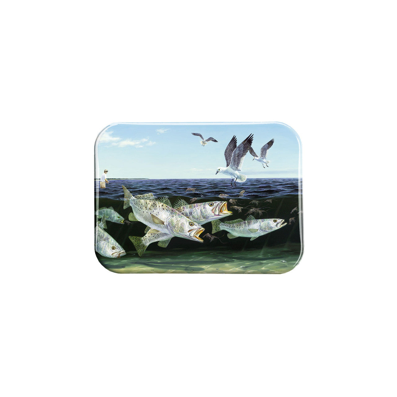 "Frenzy" - 2.5" X 3.5" Rectangle Fridge Magnets