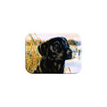"Living On The Edge" - 2.5" X 3.5" Rectangle Fridge Magnets