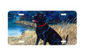 "Throw The Ball" - Decorative License Plate