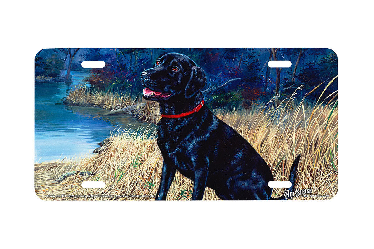"Throw The Ball" - Decorative License Plate