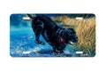 "Having A Ball" - Decorative License Plate