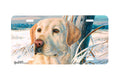 "Frozen Moment" - Decorative License Plate