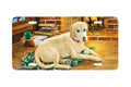 "Gaining Affection" - Decorative License Plate