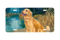 "Anticipation" - Decorative License Plate