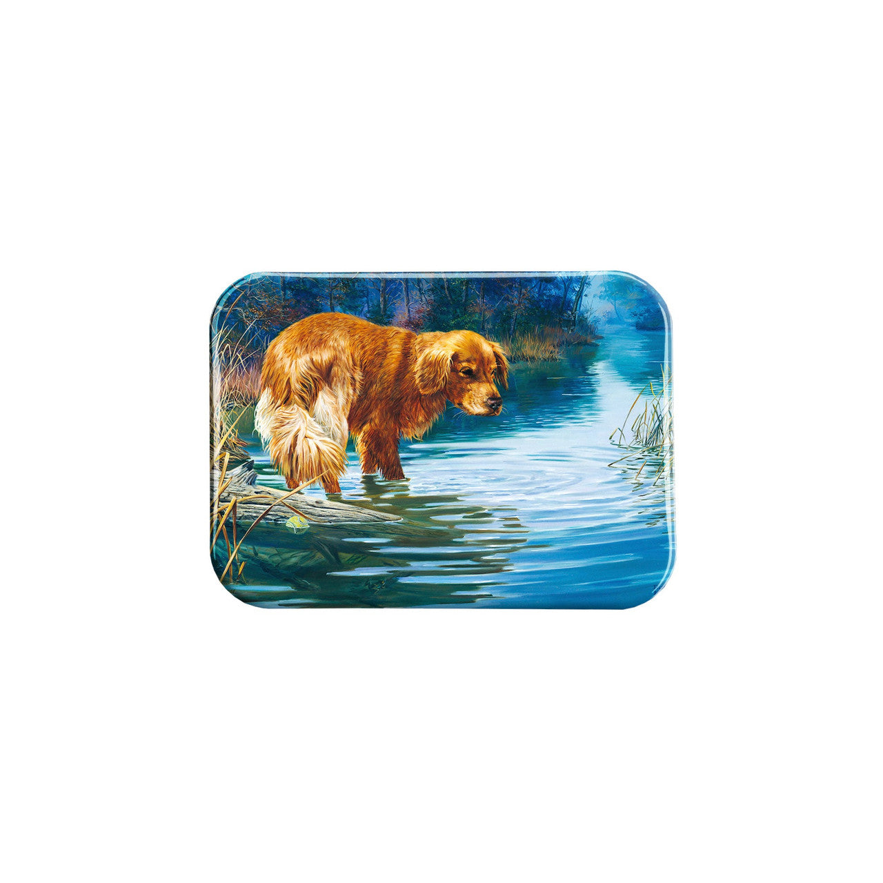 "Wheres That Ball" - 2.5" X 3.5" Rectangle Fridge Magnets