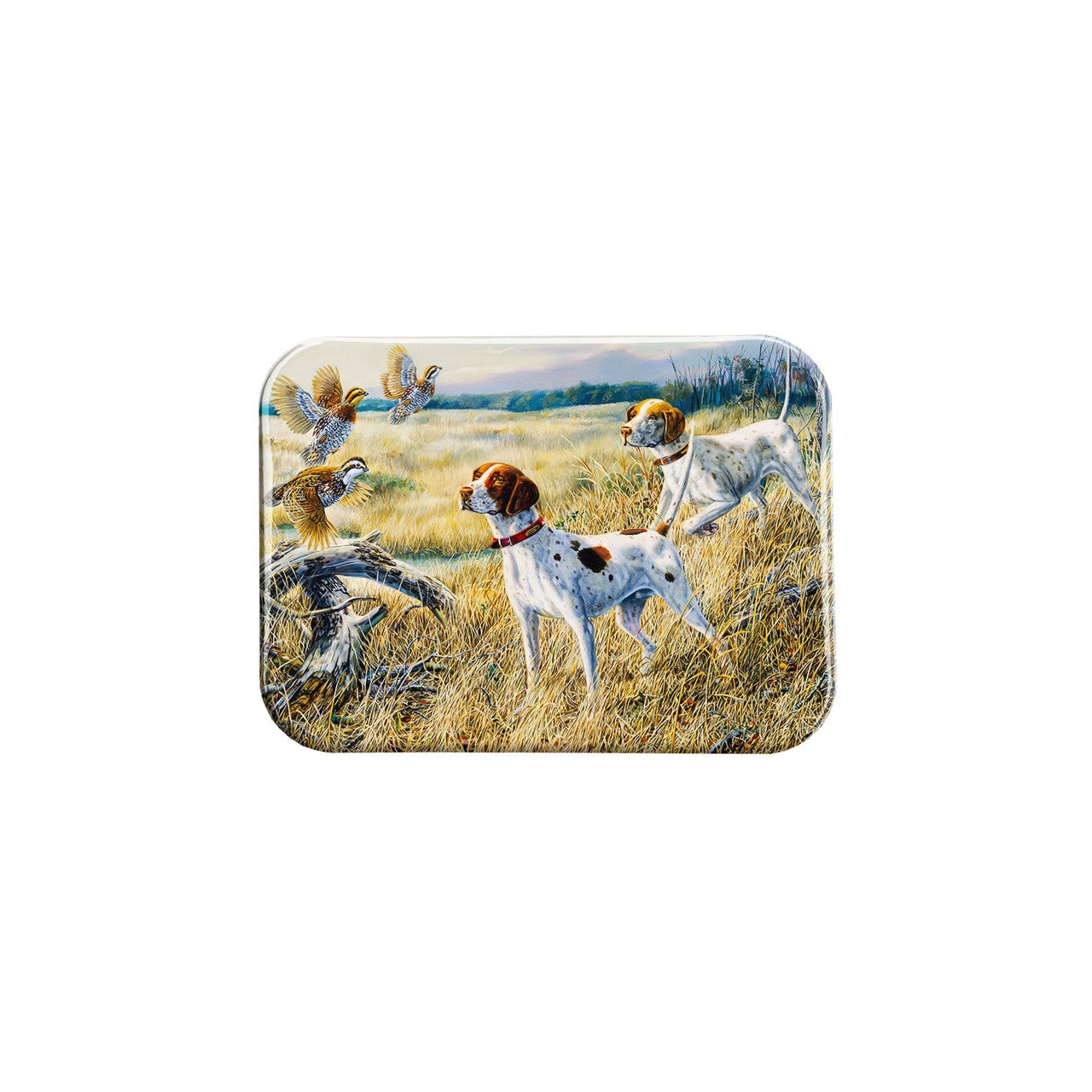 "Uncoveyed" - 2.5" X 3.5" Rectangle Fridge Magnets