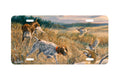 "Wake Up Call" - Decorative License Plate