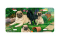 "The Gardeners" - Decorative License Plate