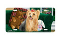 "Center Of Attention" - Decorative License Plate