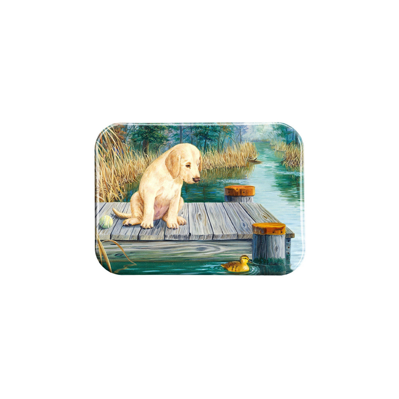 "Gaining Interest" - 2.5" X 3.5" Rectangle Fridge Magnets