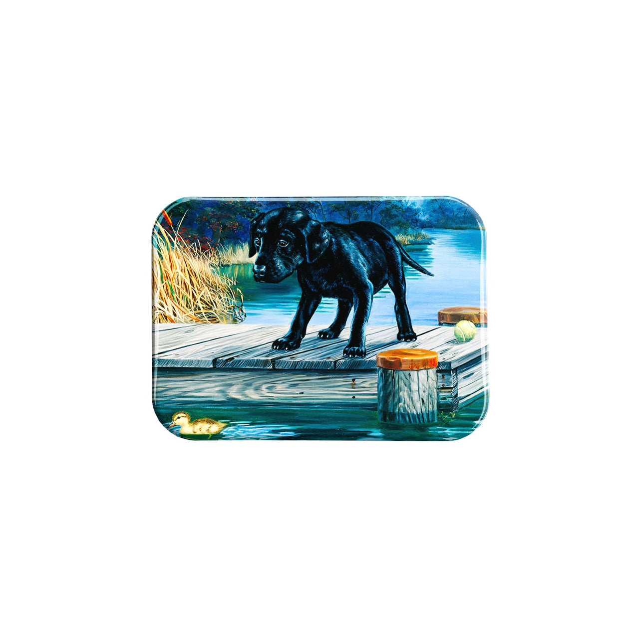 "Forget The Ball" - 2.5" X 3.5" Rectangle Fridge Magnets