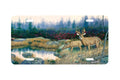 "Middle Of Nowhere" - Decorative License Plate