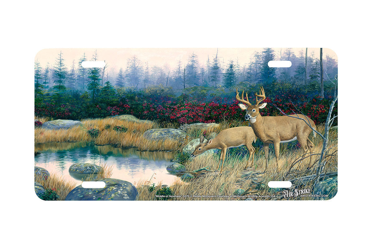 "Middle Of Nowhere" - Decorative License Plate