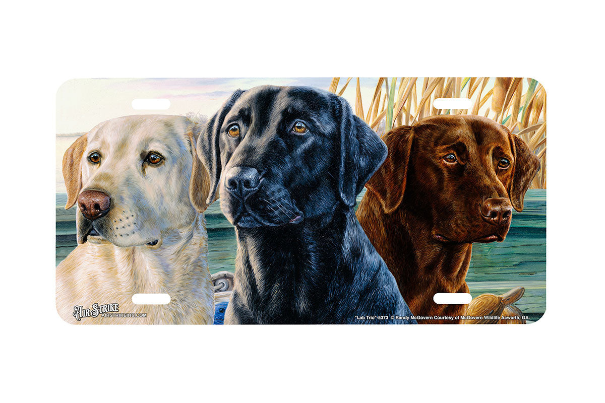 "Lab Trio" - Decorative License Plate