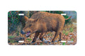 "Boar" - Decorative License Plate