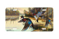 "Flyby" - Decorative License Plate