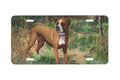 "Squirell Patroll" - Decorative License Plate
