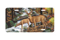 "Room With A View" - Decorative License Plate