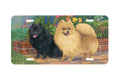 "Pati Poms" - Decorative License Plate