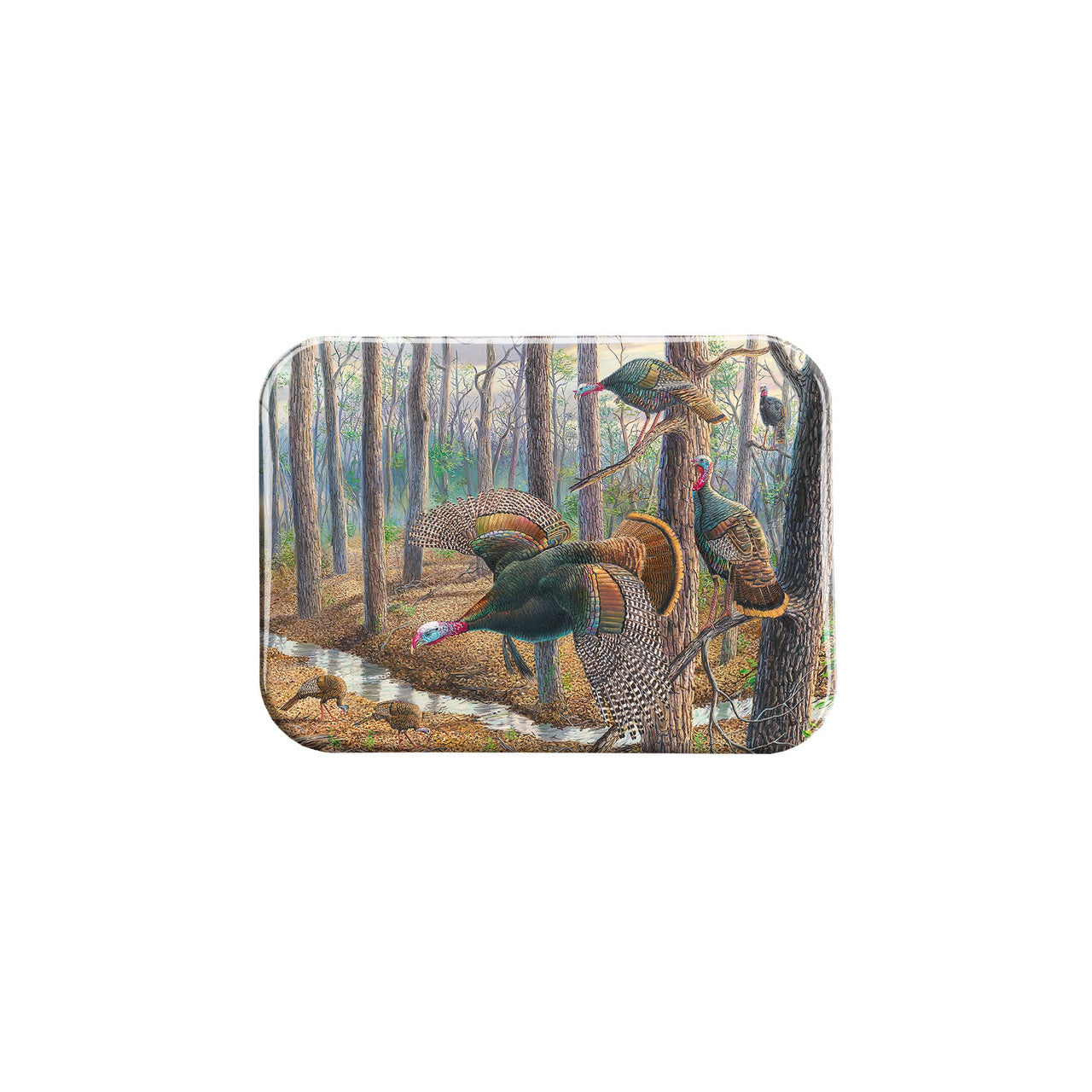 "Power and Privelege" - 2.5" X 3.5" Rectangle Fridge Magnets