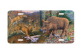 "Deer and Hog" - Decorative License Plate