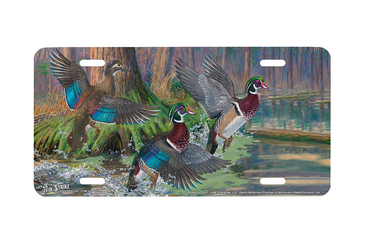"Splash Of Color" - Decorative License Plate