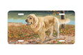 "Fun In The Sun" - Decorative License Plate