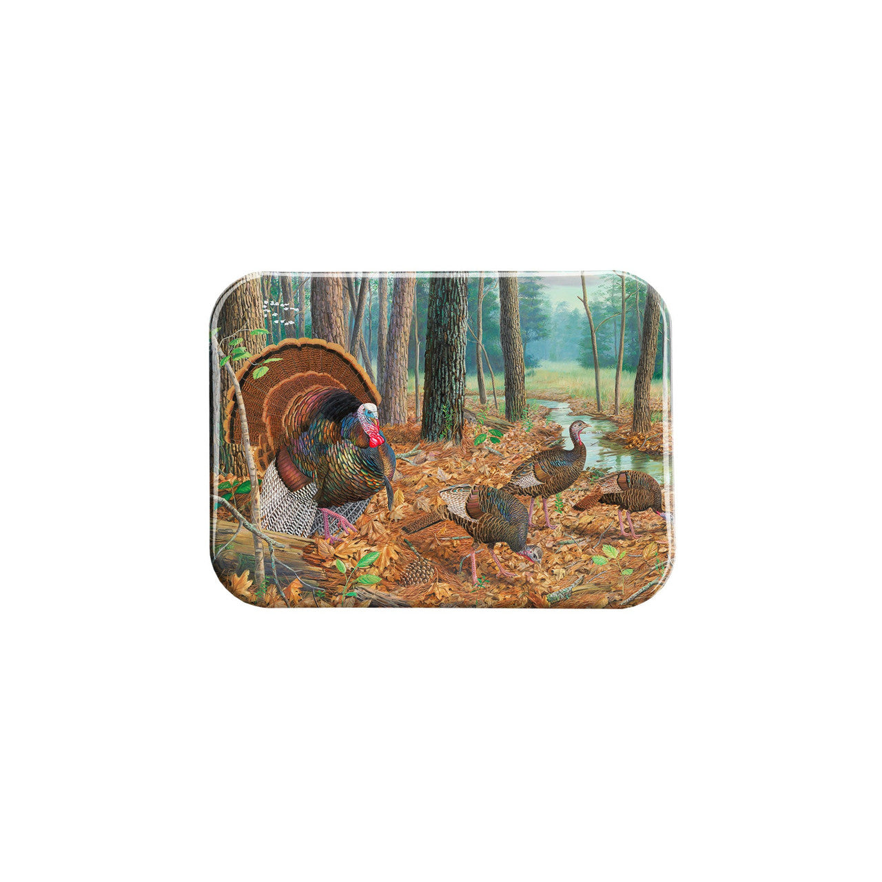 "Spring Fling" - 2.5" X 3.5" Rectangle Fridge Magnets